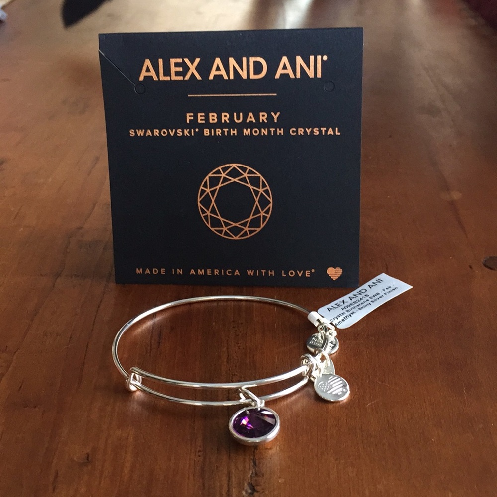 Alex and Ani February Birth Month Crystal Bracelet